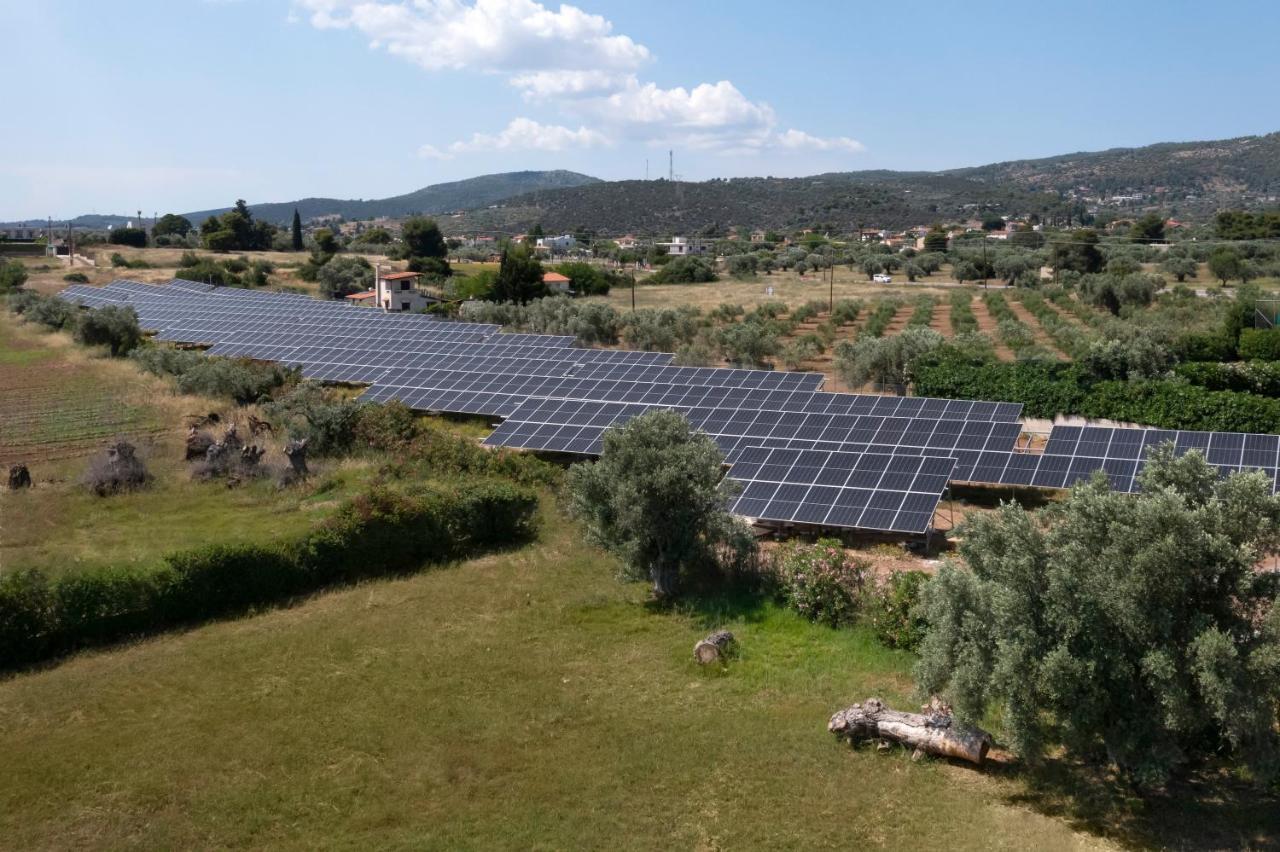 Negroponte Resort Eretria Dış mekan fotoğraf